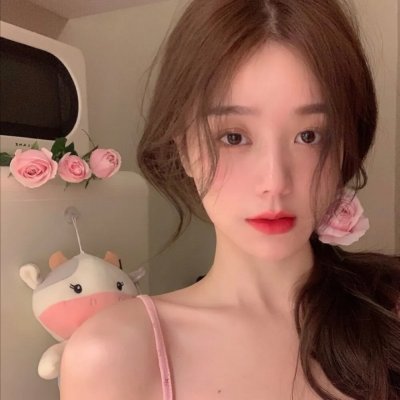 西夏死书
